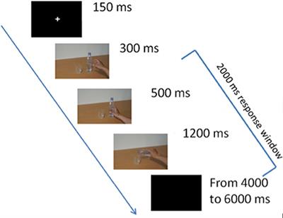 Predicting Intentions of a Familiar Significant Other Beyond the Mirror Neuron System